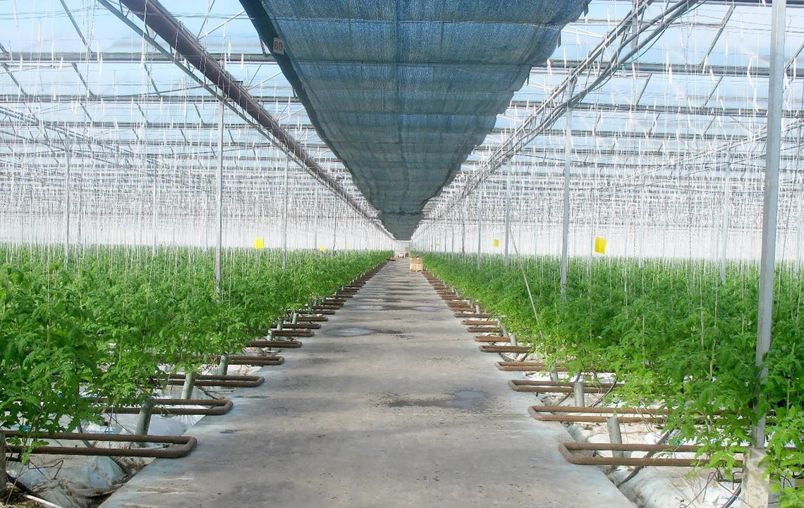 Classic Hooks_Greenhouse support Classic Hooks_Greenhouse support