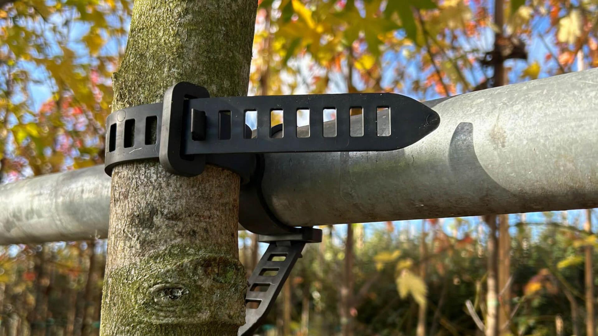 Agilo reusable fasteners securing young trees in a nursery