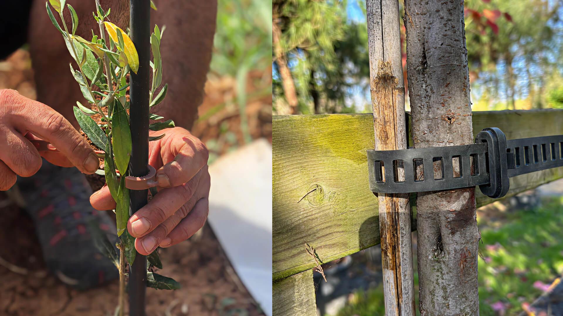 A biodegradable clip and Agilo reusable fastener