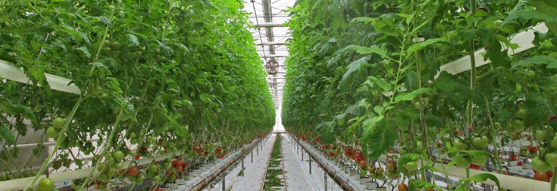GreenTech Amsterdam 2025
