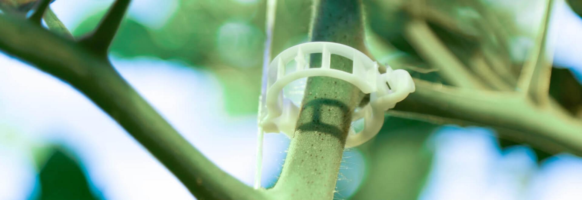 From plastic to biocompostable: an urgent shift towards sustainable agricultura