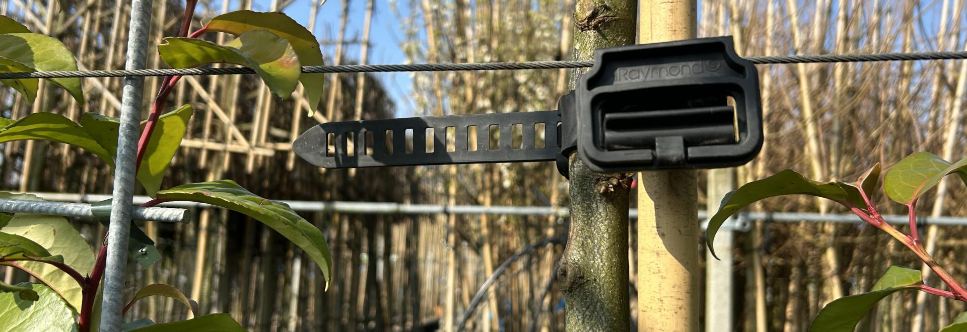 Mabo Tree Nursery has been using the Agilo for the past two years
