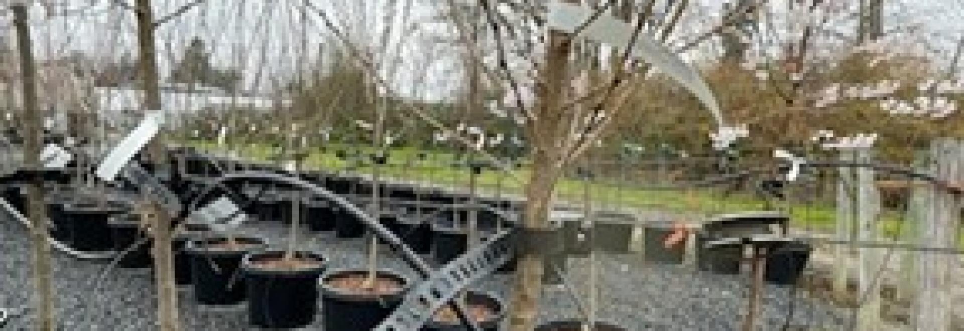 Armitage Wholesale Agilo Case Study 