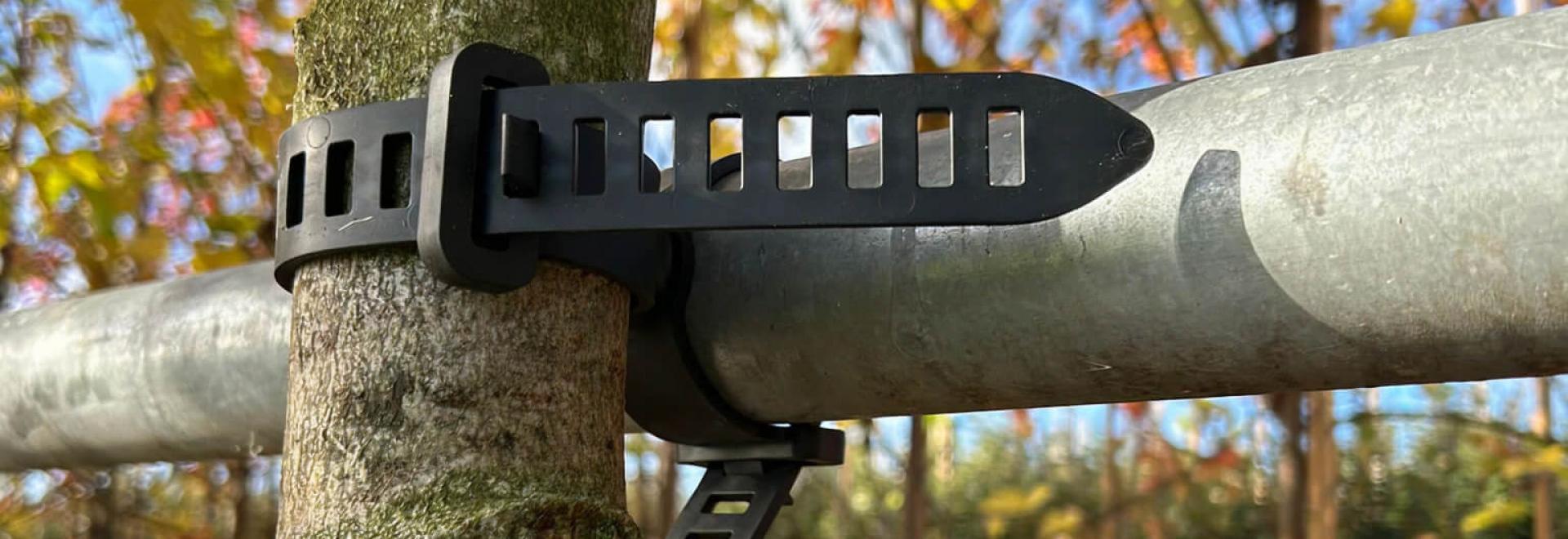 Agilo: sustainable innovation for healthy tree growth