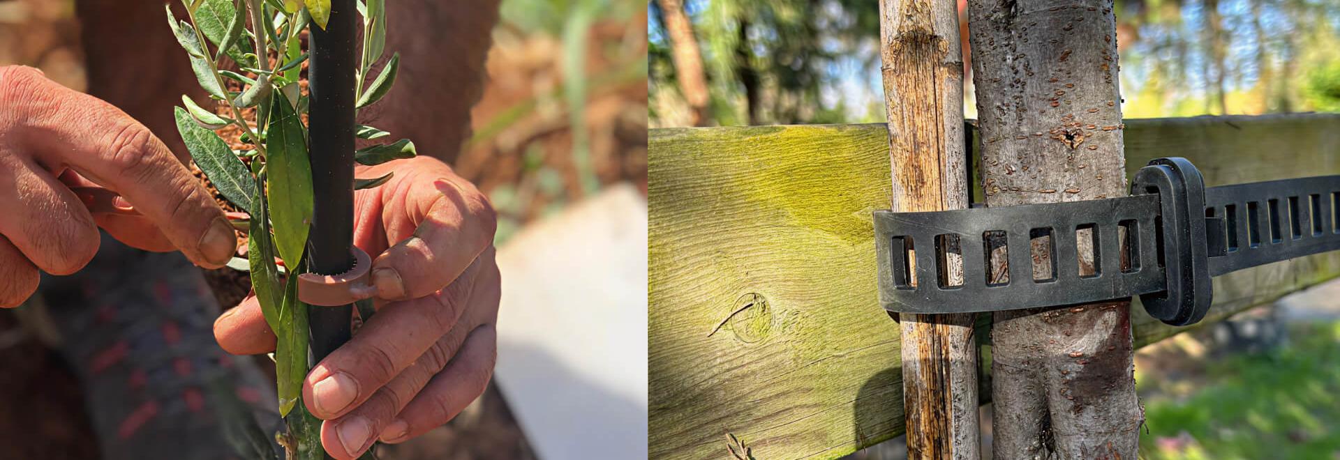 Commitment to sustainability: ARaymond Agriculture's mission
