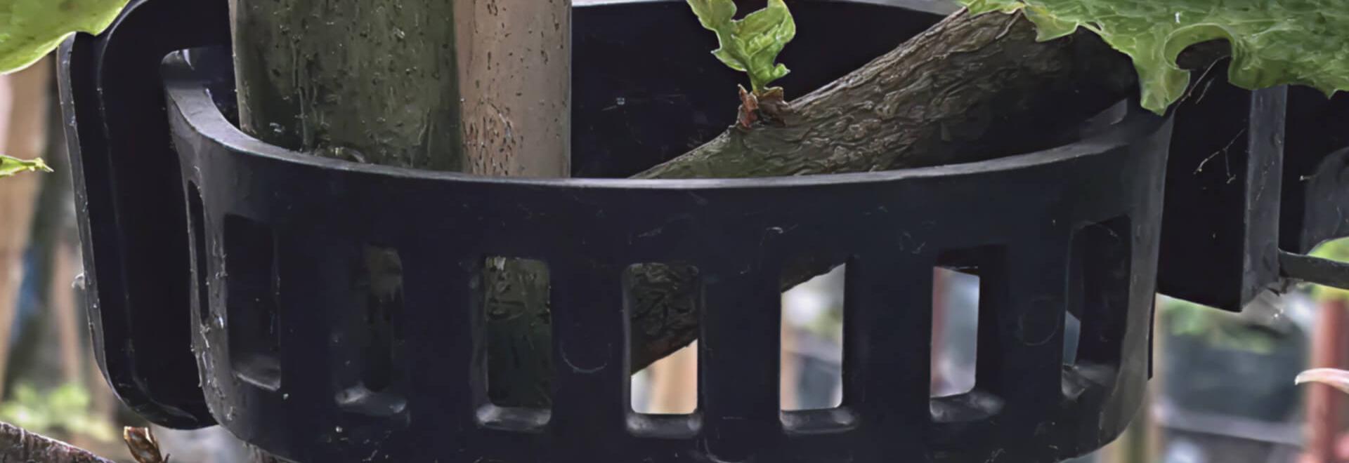 Agilo in the day-to-day operations of a professional nursery: The experience of Johnson Nurseries