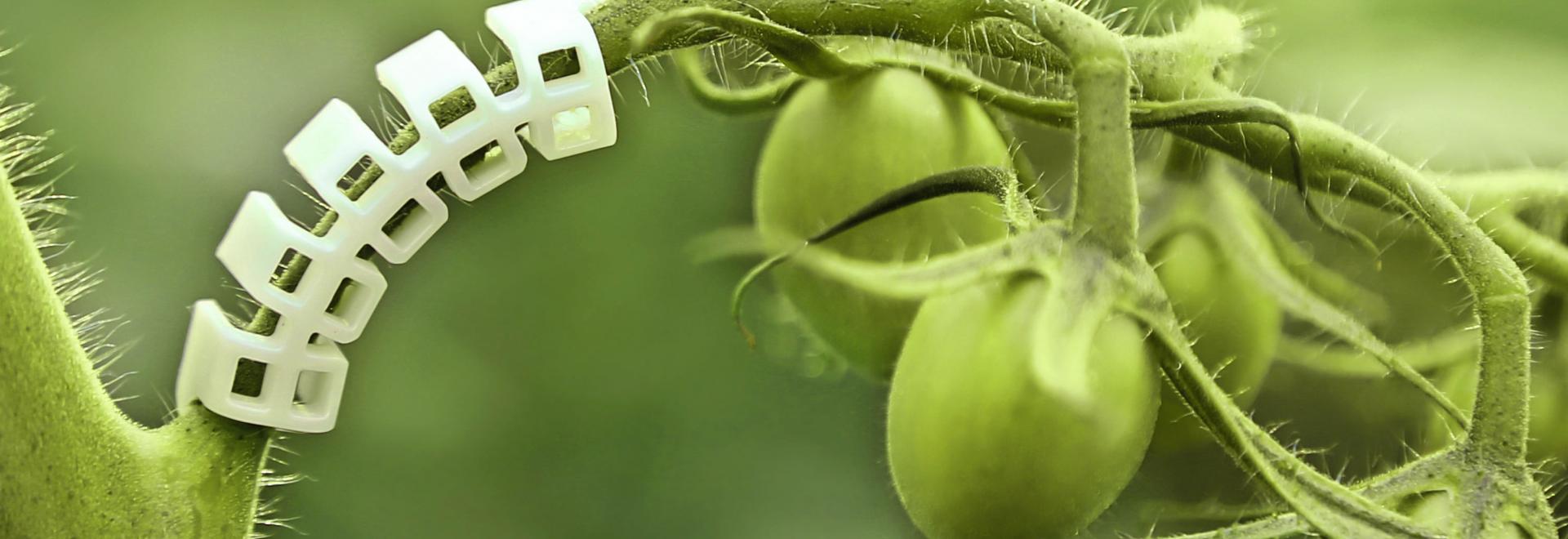 Biodegradable range